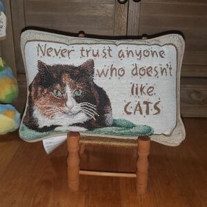 Cat Lovers Humor Decorative Pillow